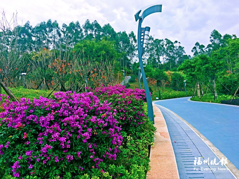 長(zhǎng)樂：風(fēng)起東海之濱 勇立潮頭再出發(fā)
